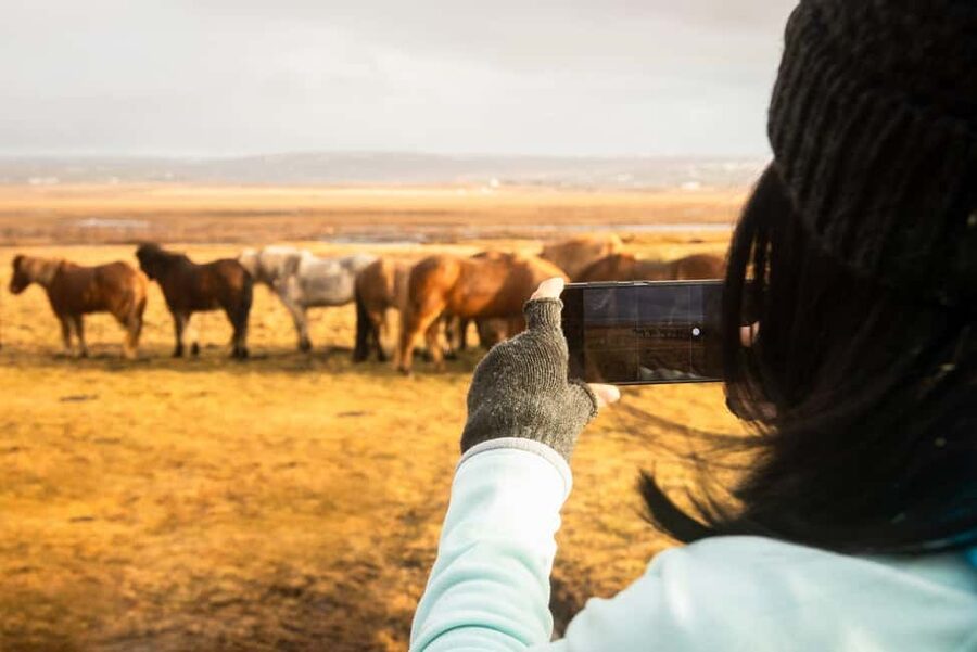 From Reykjavik: 3-Day Northern Lights Hunt & Glacier Lagoon - Who should book this tour?