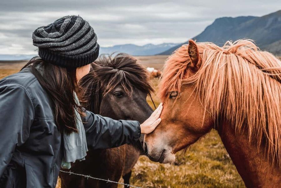 From Reykjavík: 5-Day Northern Lights Hunt & Glacier Lagoon - Day 1: Settle into Reykjavík before the road trip