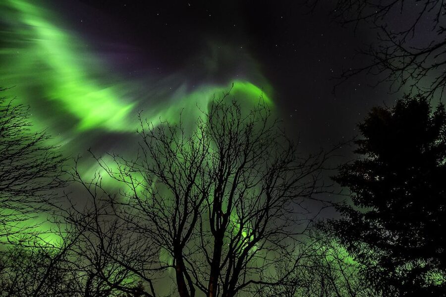 From Reykjavik: Golden Circle and Northern Lights Tour - Guides, buses, and the feel of the day