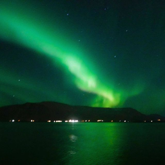From Reykjavik: Northern Lights Boat Cruise - Guides, stories, and help with photographs