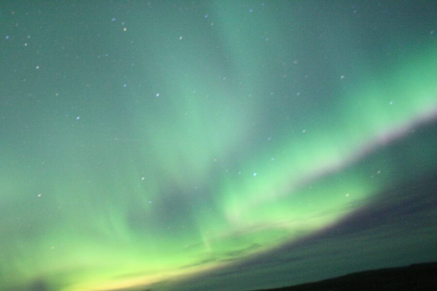 From Reykjavik: Northern Lights Boat Cruise - Small details that make the night better