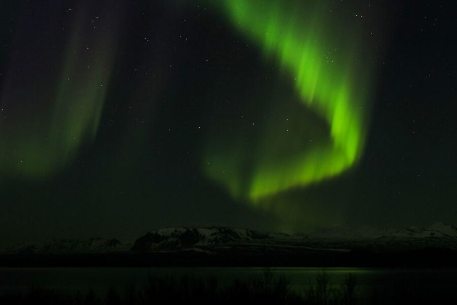 From Reykjavik: Northern Lights Bus Tour with Hot Cocoa - Who should book this Reykjavik aurora tour