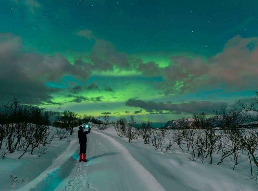 From Reykjavik: Northern Lights Chase with Expert Guide - What you may actually see