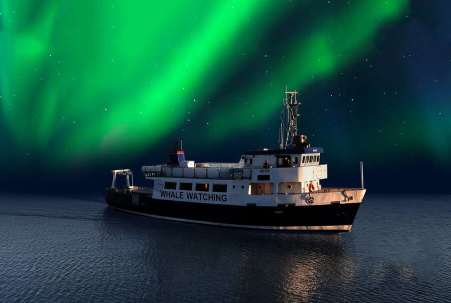 From Reykjavik: Northern Lights Sightseeing Cruise - Key points to know before you book