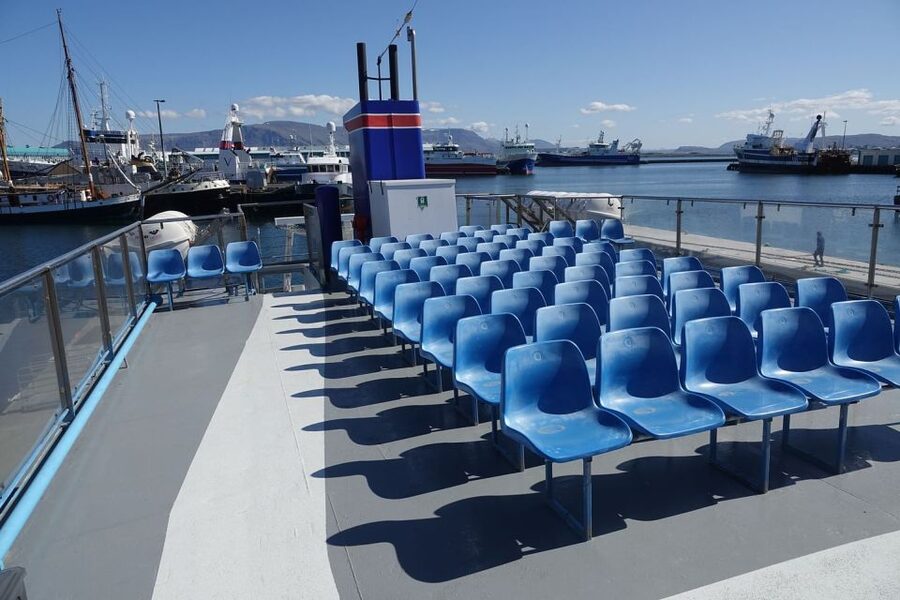 From Reykjavik: Northern Lights Sightseeing Cruise - What happens when the lights appear