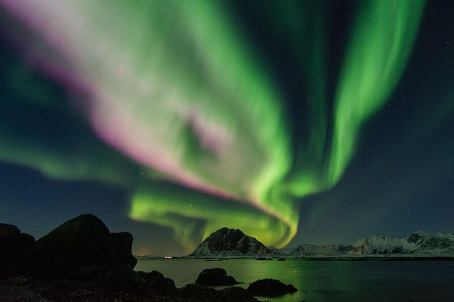 From Reykjavik: Northern Lights Sightseeing Cruise - Who will like this cruise most?