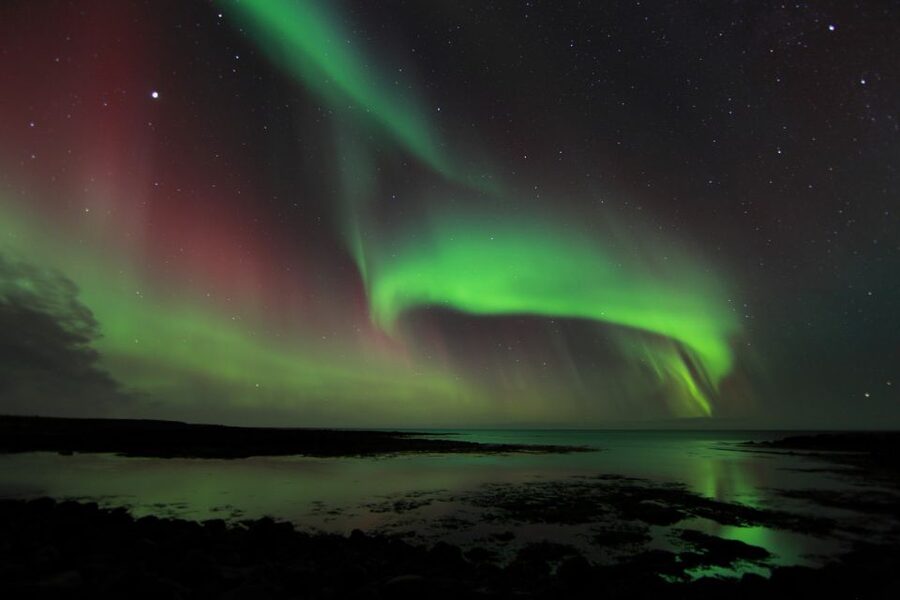 From Reykjavik: Northern Lights Tour - Leaving Reykjavik from BSI after dark