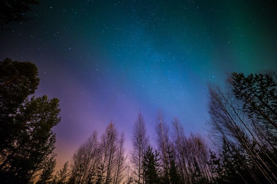 From Reykjavik: Northern Lights Tour - Who should book this Northern Lights outing?