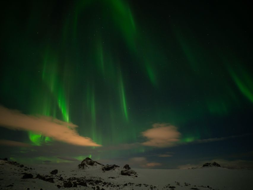 From Reykjavik: Northern Lights Tour with Hot Cocoa & Photos - How much value do you get for $169?
