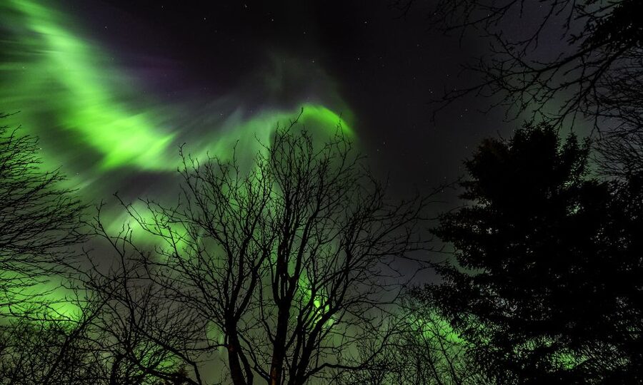 From Reykjavik: Northern Lights Tour with Lifetime Guarantee - Key points to know before booking