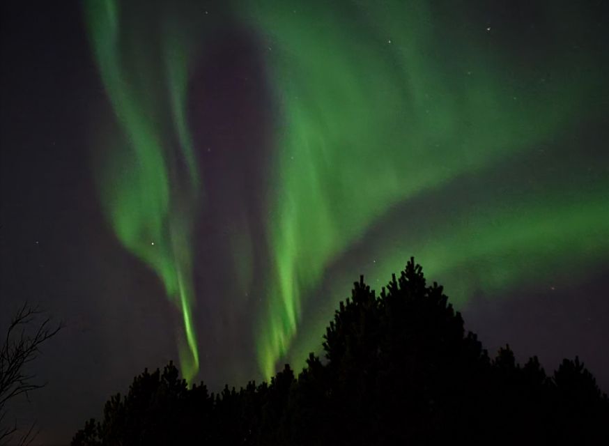 From Reykjavík: Spot the Northern Lights with Snacks & Drink - Waiting outdoors with hot chocolate and Icelandic snacks