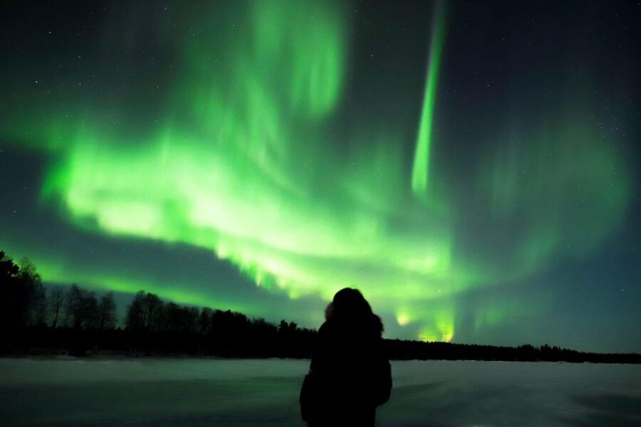 From Rovaniemi: Aurora Borealis Trip in Lapland Lakeside - Key points to know before you book