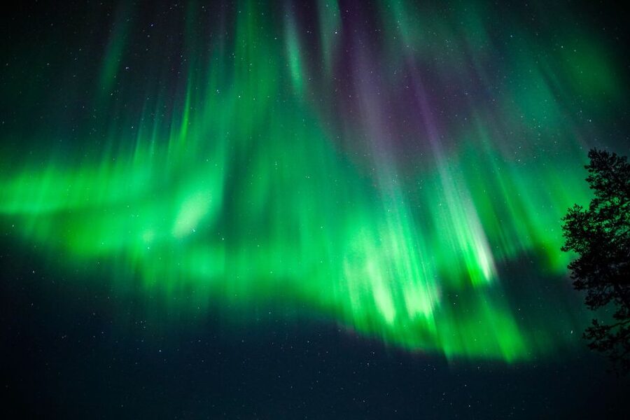 From Rovaniemi: Family-Friendly Northern Lights Tour - Who should book this Rovaniemi experience