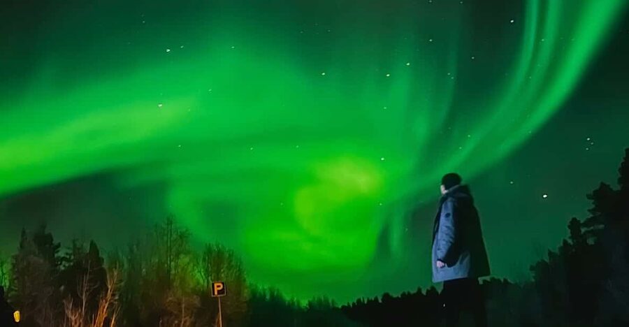 From Rovaniemi: Lapland Aurora Hunt with Barbeque - Key points to know before booking