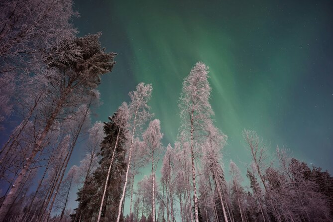 From Rovaniemi: Northern Lights Tour with Campfire Snacks - What this Northern Lights evening is really like