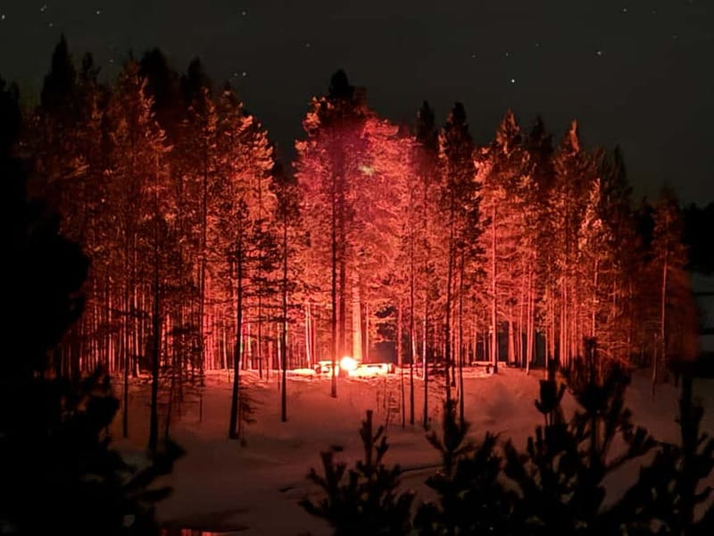 From Saariselkä/Inari: Aurora Hunting Tour, campfire&snacks - Your evening in the orange hybrid Multivan