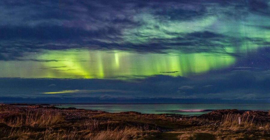 From Svolvær: Guided Northern Lights Tour by Van - Meeting Jann and learning more than aurora facts