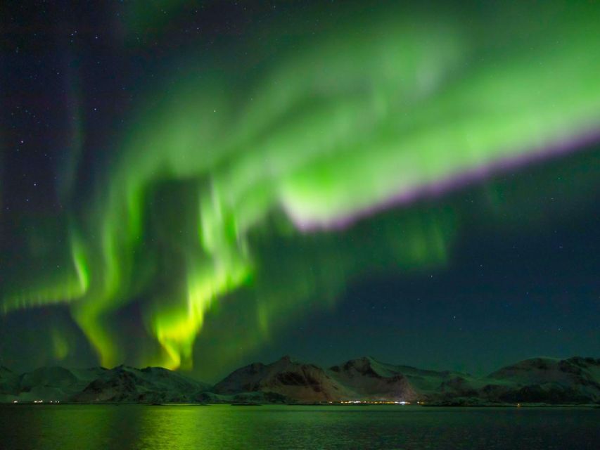 From Svolvær: Guided Northern Lights Tour by Van - Comfort, clothing, and the four-hour pace