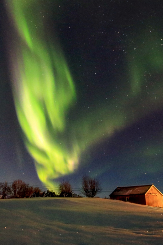 From Svolvaer: Private Northern Lights Search Trip - Leaving Svolvaer after dark