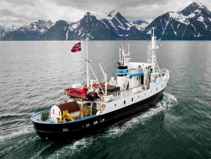 From Tromsø: Northern Lights Cruise on a Cozy Vintage Vessel - Starting at Full Steam Museum in Tromsø