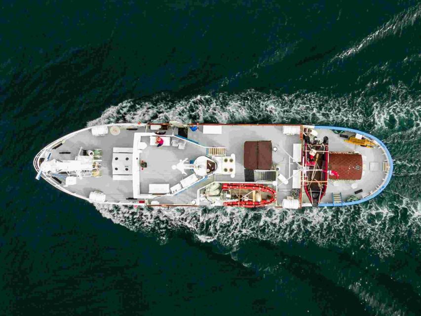 From Tromsø: Northern Lights Cruise on a Cozy Vintage Vessel - Four hours on the fjord