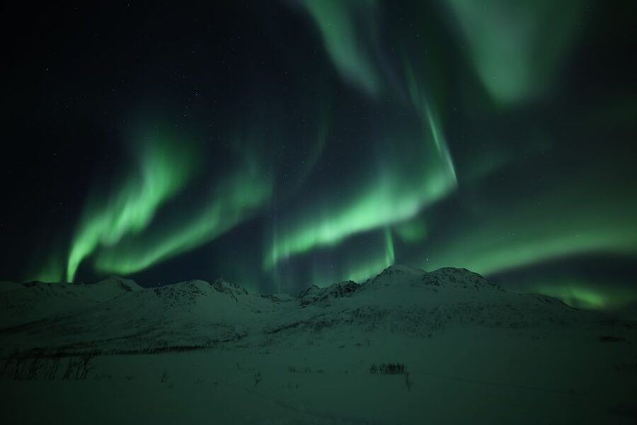 From Tromso: Northern Lights Photography Tour - Should you book the Tromso Northern Lights Photography Tour?