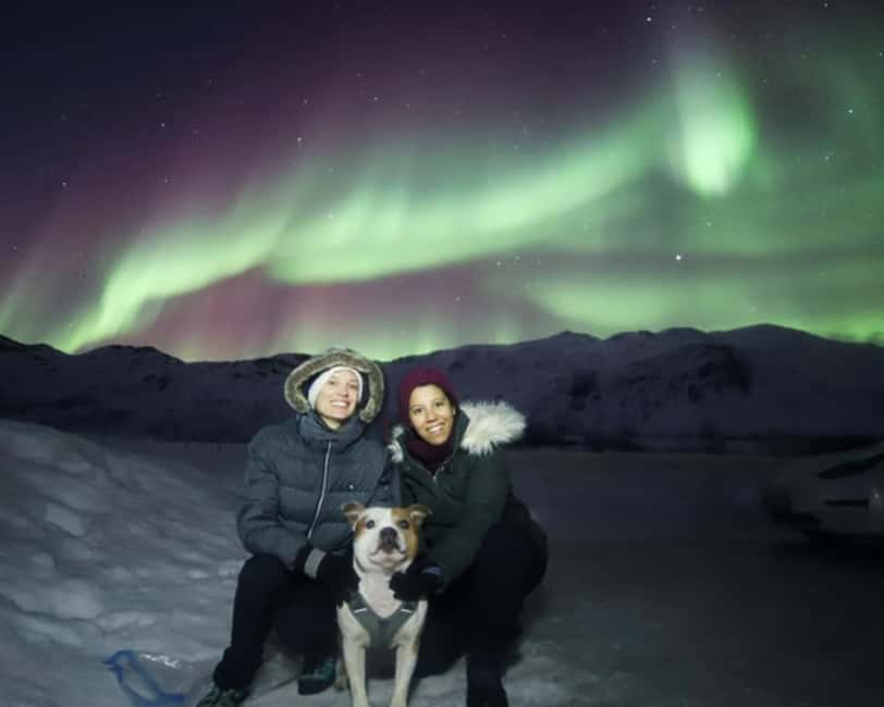 From Tromso: Northern Lights Photography Tour - Campfire, hot chocolate, and the cold