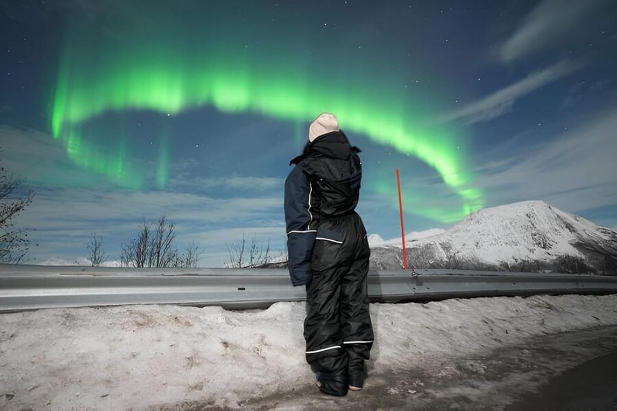 From Tromsø: Northern Lights Tour in Minibus with Photos - Why the weather chase matters