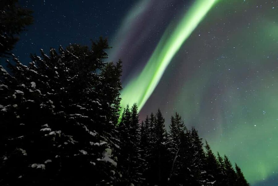 From Tromsø: Northern Lights Visit at Camp Tamok - Who will enjoy this evening most