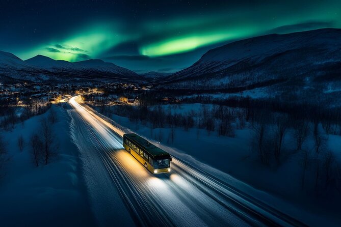 From Tromsø: Official Northern lights Safari - Meeting point, language, and cancellation details