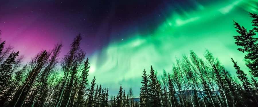 From Yellowknife:4-Day Aurora Viewing Tour with Hotel Pickup - Key points to know before booking