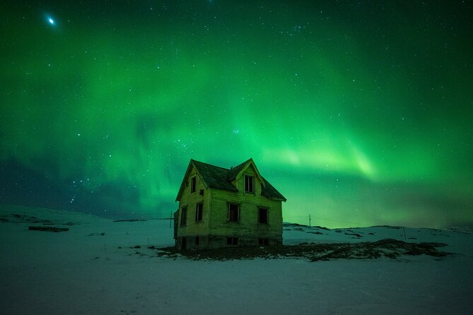 Full Night Magic of the Northern Lights in Tromso - Why the minibus setup works in Tromso