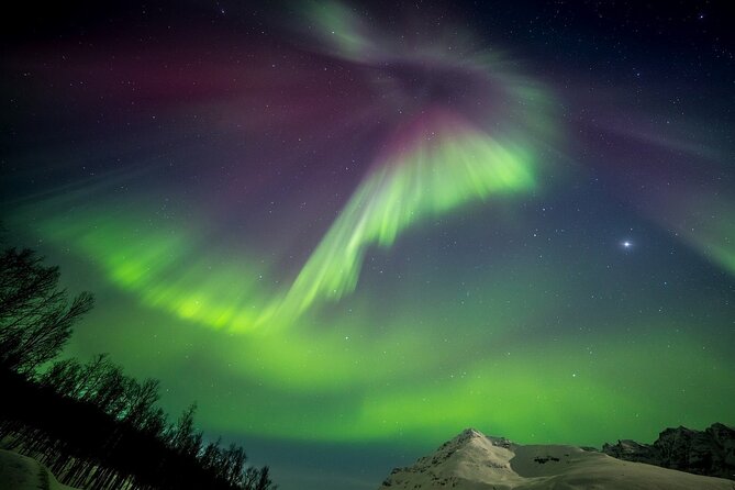 Full Night Magic of the Northern Lights in Tromso - The honest downside: a long wait or an early return
