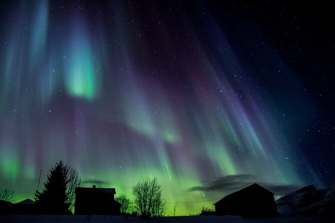 Full Night Magic of the Northern Lights in Tromso - Is $180.94 a fair price?