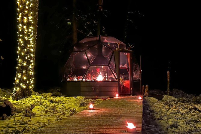 Glass Igloo Campfire Dinner under Northern Lights - The three-course dinner and unlimited glogi