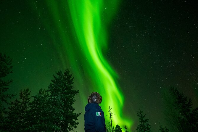 Go on a Northern Lights Photography Tour - Small Group by minivan - Key points about this Rovaniemi aurora tour