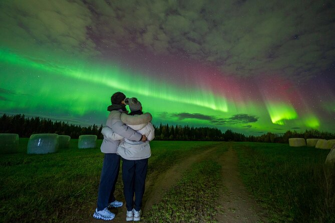 Go on a Northern Lights Photography Tour - Small Group by minivan - A patient search under the Arctic sky