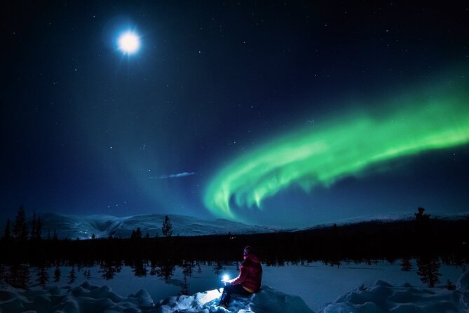 Guaranteed Aurora Hunting Tour from Rovaniemi with Local Guide - A Northern Lights chase built around the forecast