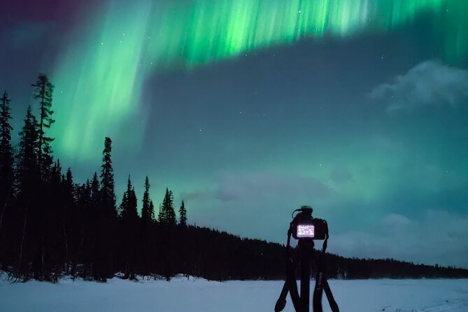 Guaranteed Aurora Hunting Tour from Rovaniemi with Local Guide - The 100 percent refund promise