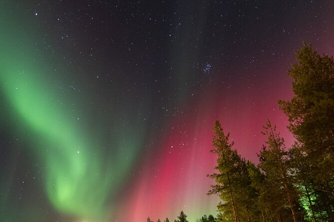 Guaranteed Aurora Hunting Tour from Rovaniemi with Local Guide - Photography in the cold