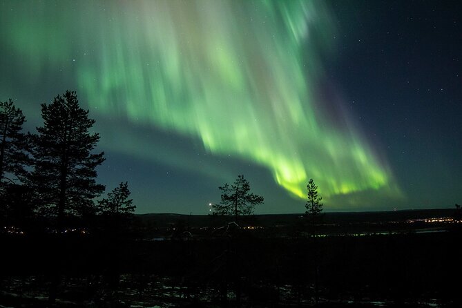 Guaranteed Aurora Hunting Tour from Rovaniemi with Local Guide - Who should book this Rovaniemi tour