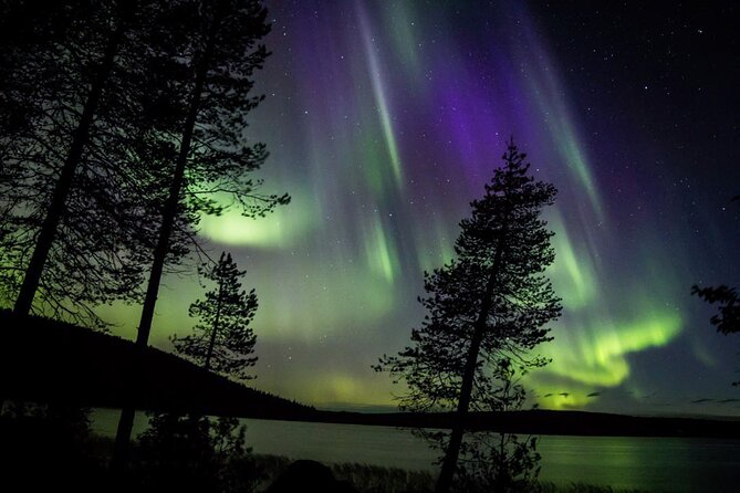 Guaranteed Aurora Hunting Tour from Rovaniemi with Local Guide - Timing, clothing, and practical preparation
