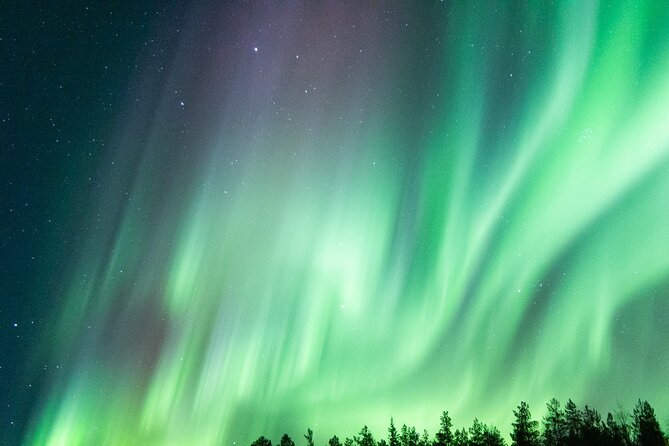 Guaranteed Aurora Hunting Tour from Rovaniemi with Local Guide - Is the $191.88 price fair?