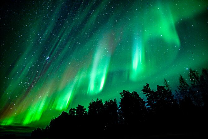 Guaranteed Northern Lights Hunting Adventure in Lapland - Practical Details Before You Reserve