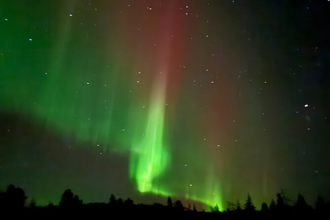 Guaranteed Northern Lights Tour in Rovaniemi - Who will like this tour most