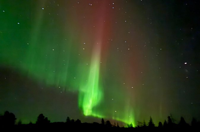 Guaranteed Northern Lights Tour in Rovaniemi - Practical details that affect your night