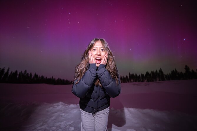 Guaranteed Northern Lights Tour with Photos - Why the clear-sky chase matters in Lapland