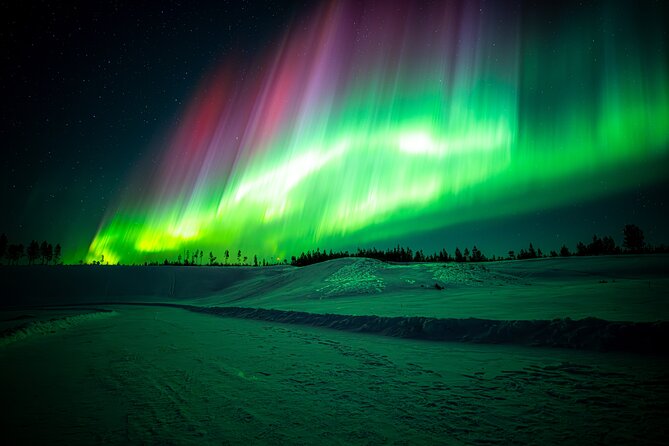 Guaranteed Northern Lights Tour with Photos - Booking details that affect your night