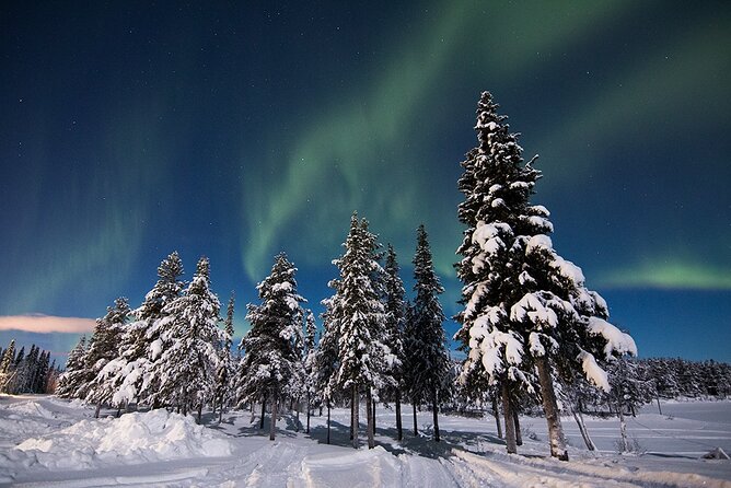 Guided Northern Lights Tour at Kiruna - What you do during the four hours