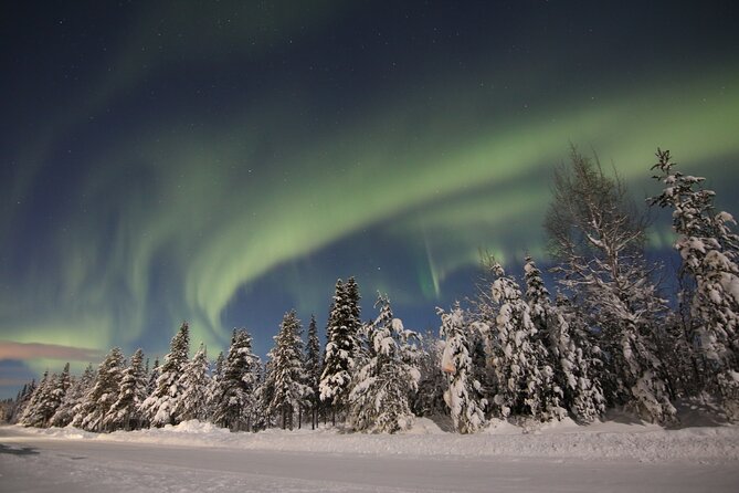 Guided Northern Lights Tour at Kiruna - Price and what the $192.59 buys you